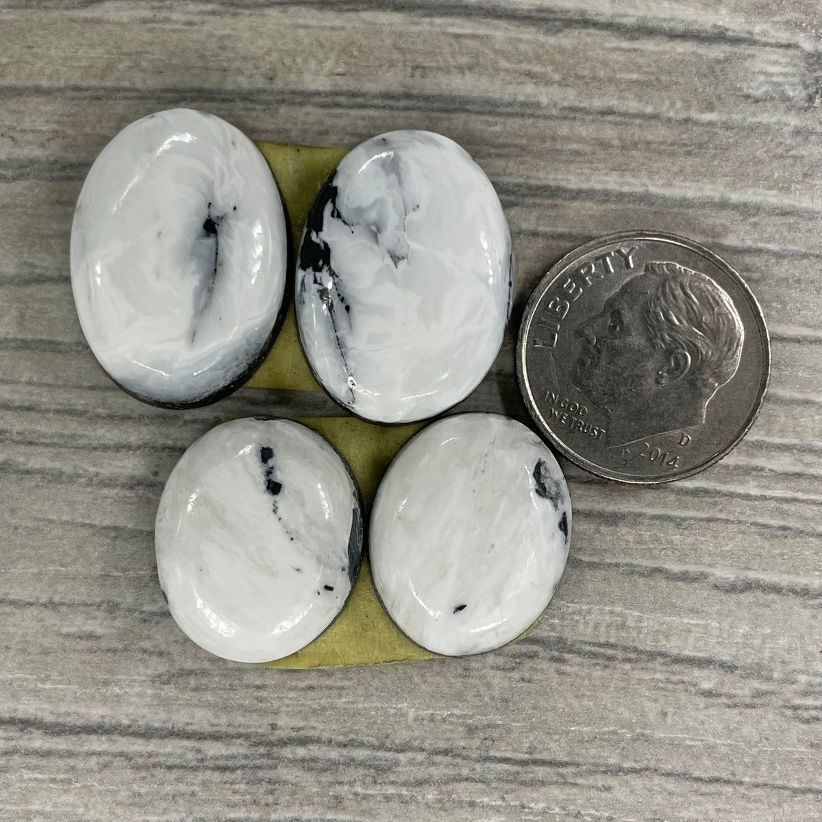 White Buffalo Earring Pairs