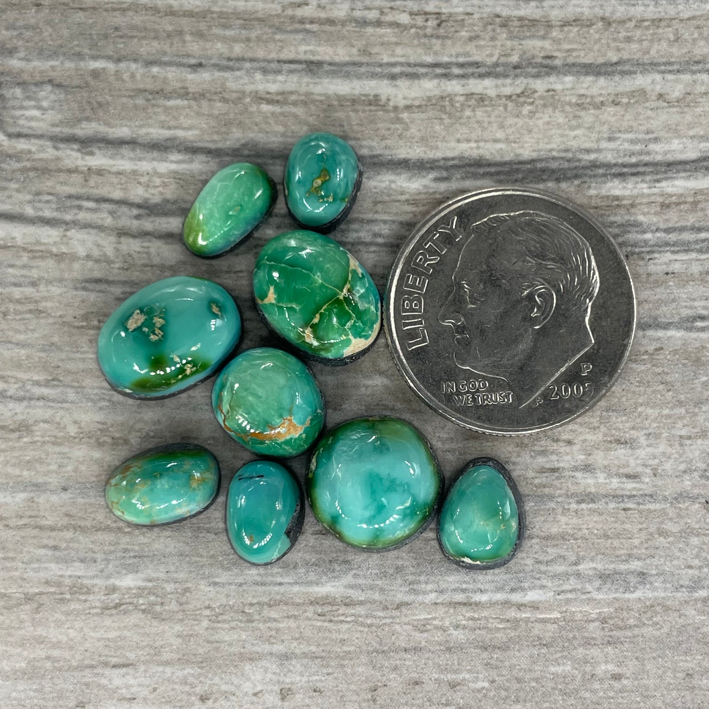 Sonoran Mountain Minis