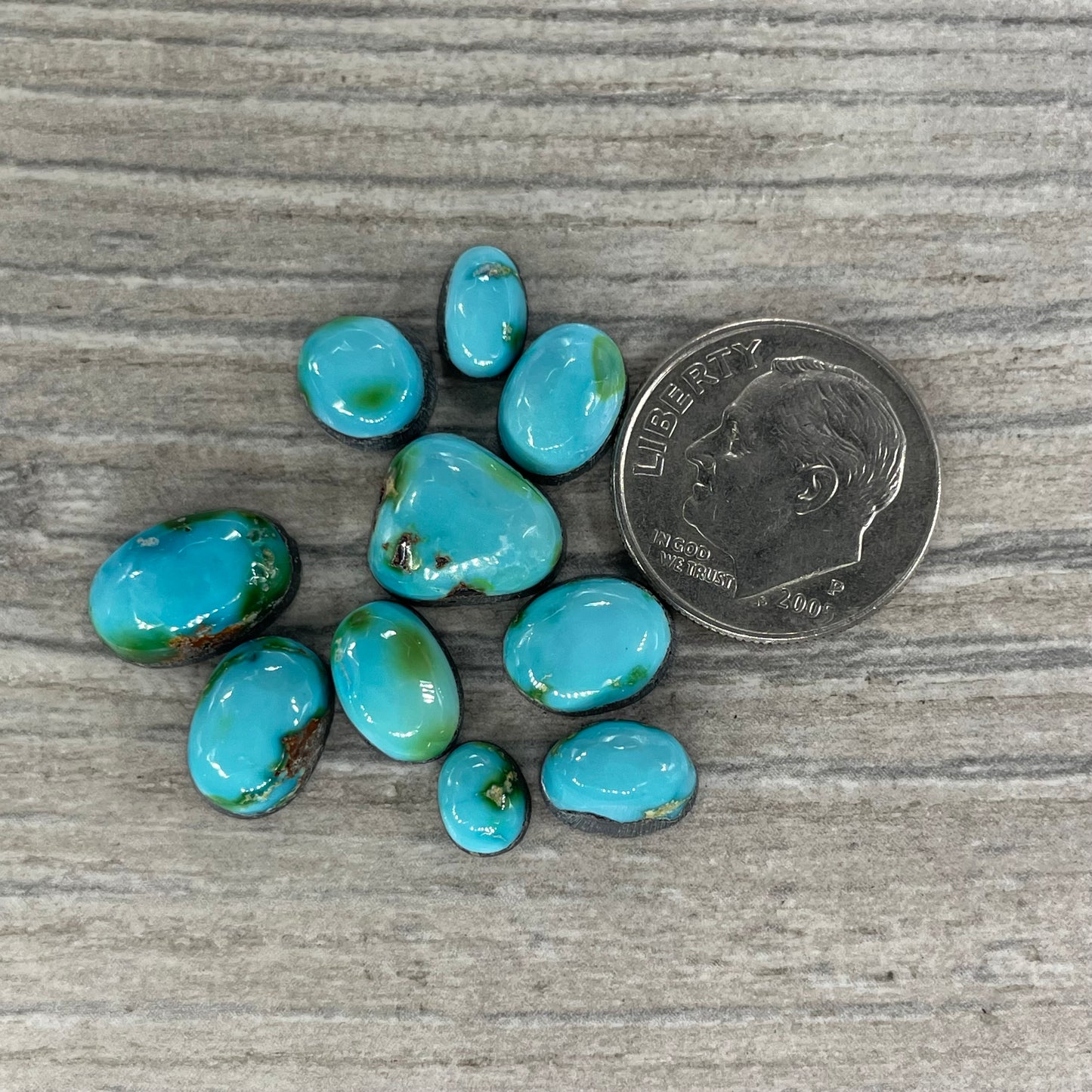 Sonoran Mountain Minis