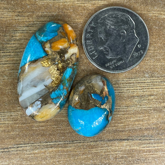 Orange Spiny Turquoise