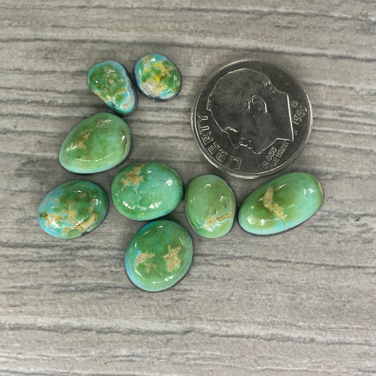 Sierra Bella Minis
