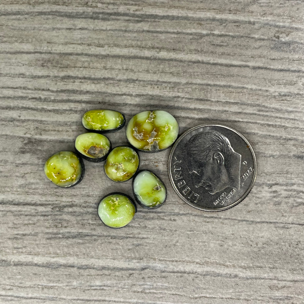 Palomino Minis