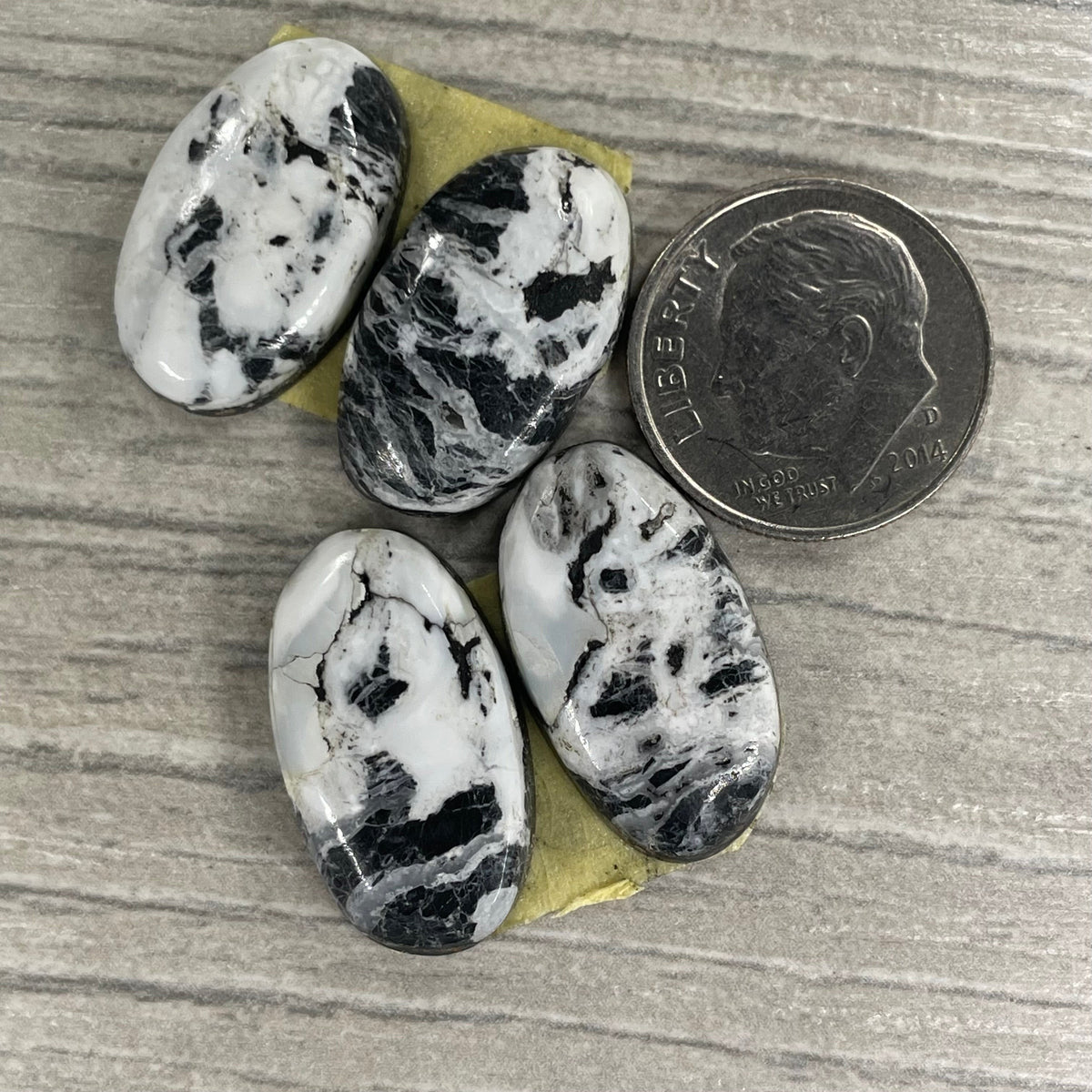 White Buffalo Earring Pairs