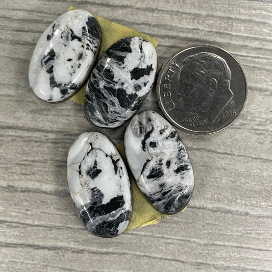 White Buffalo Earring Pairs