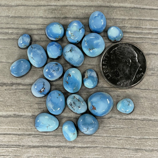 Golden Hill Minis