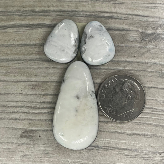 White Buffalo Set