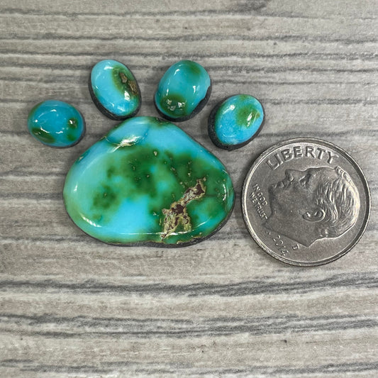 Sierra Bella Paw