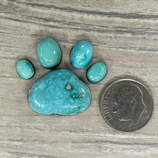 Emerald Valley Paw