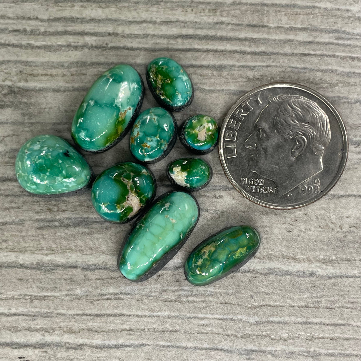 Sonoran Mountain Minis