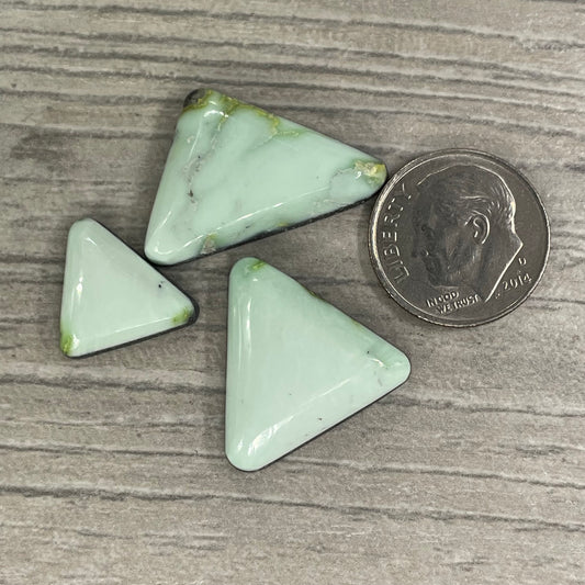 Palomino Triangles