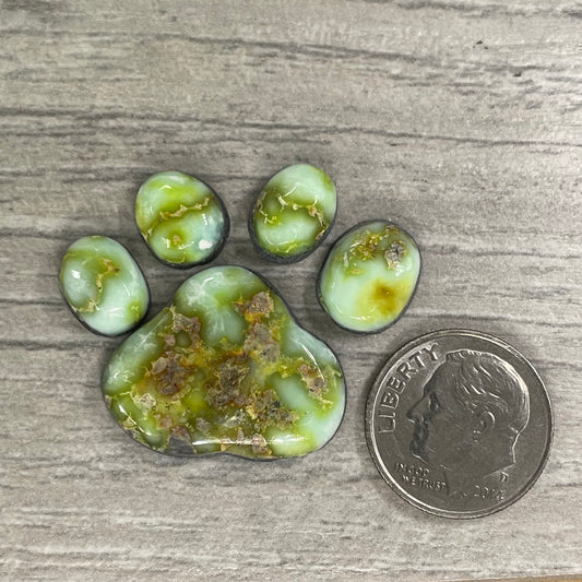 Palomino Paw Set
