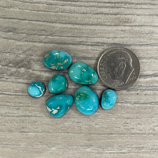 Sierra Blue Minis