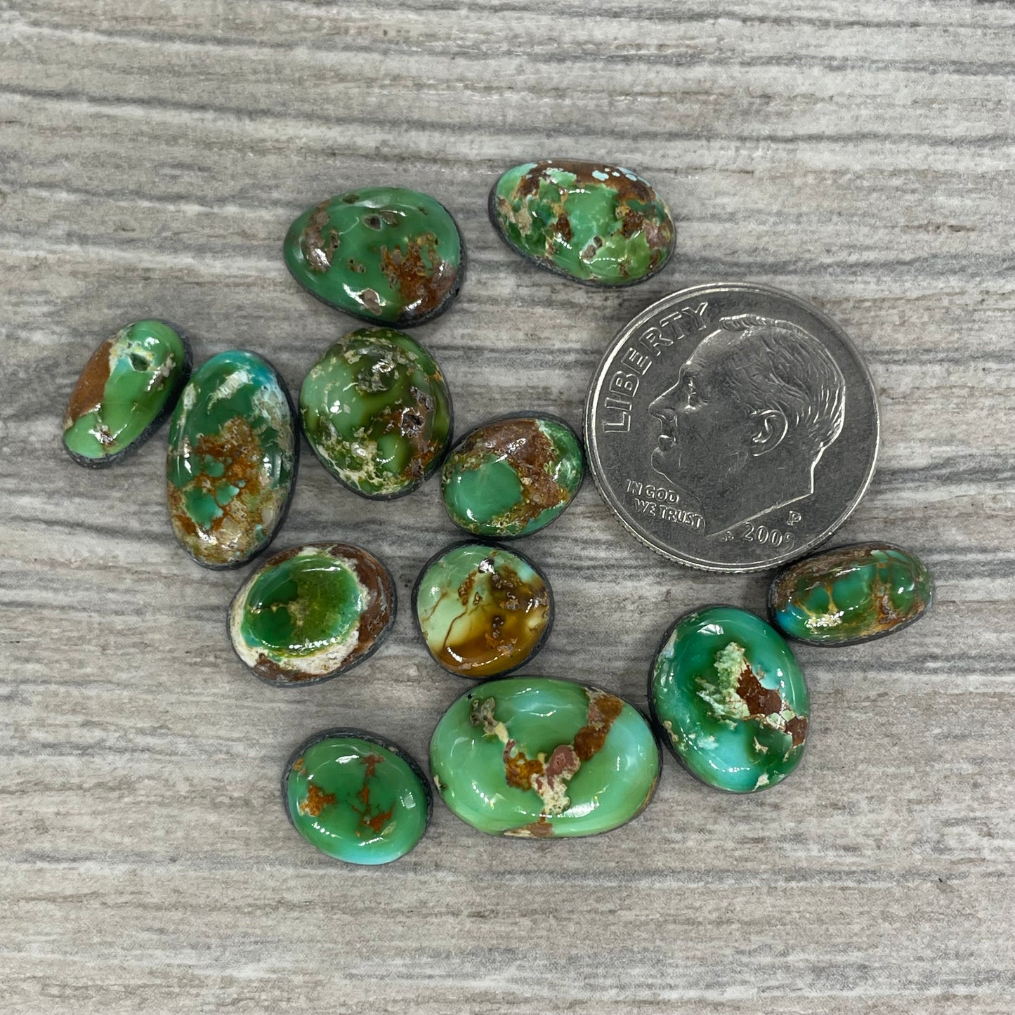 Sonoran Mountain Minis