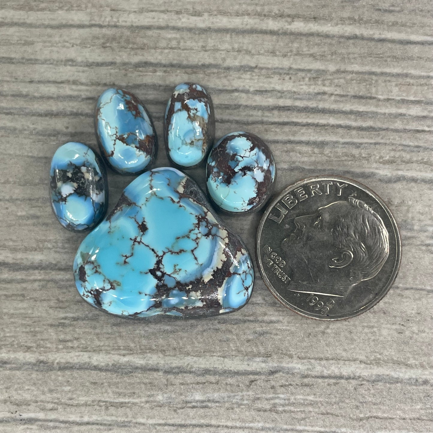 Golden Hill Paw