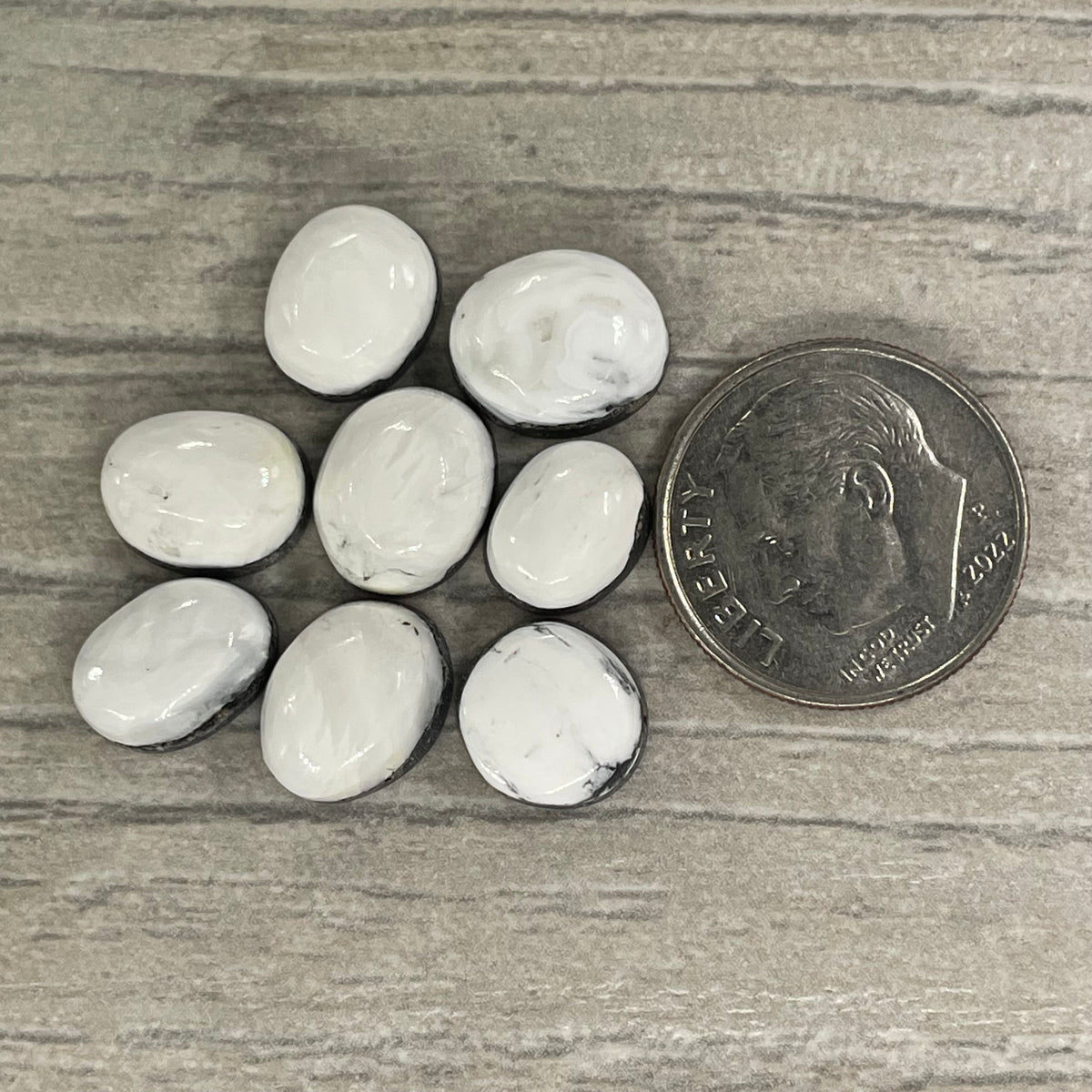 White Buffalo Minis
