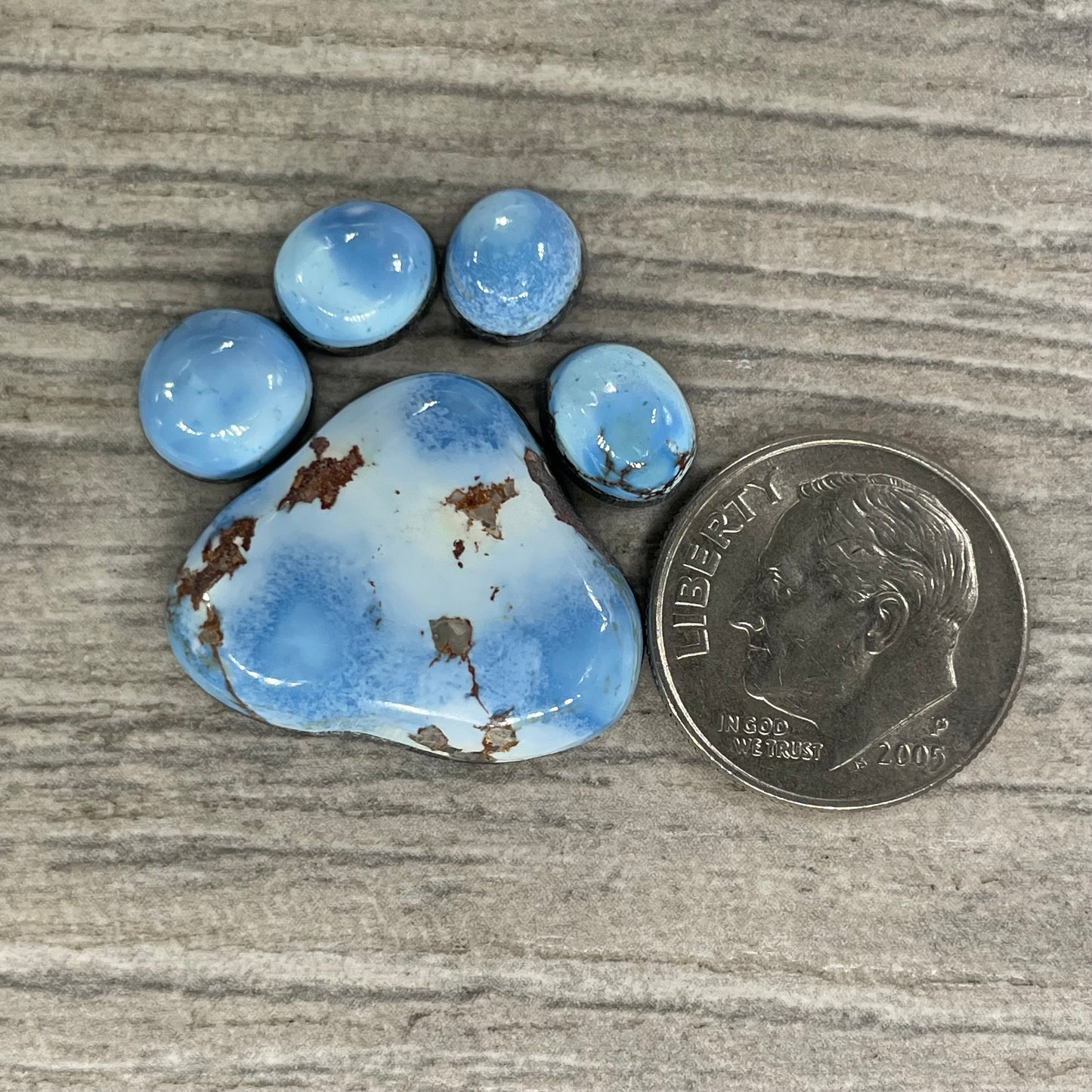 Golden Hill Paw