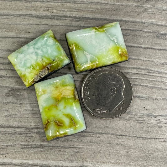 Palomino Squares