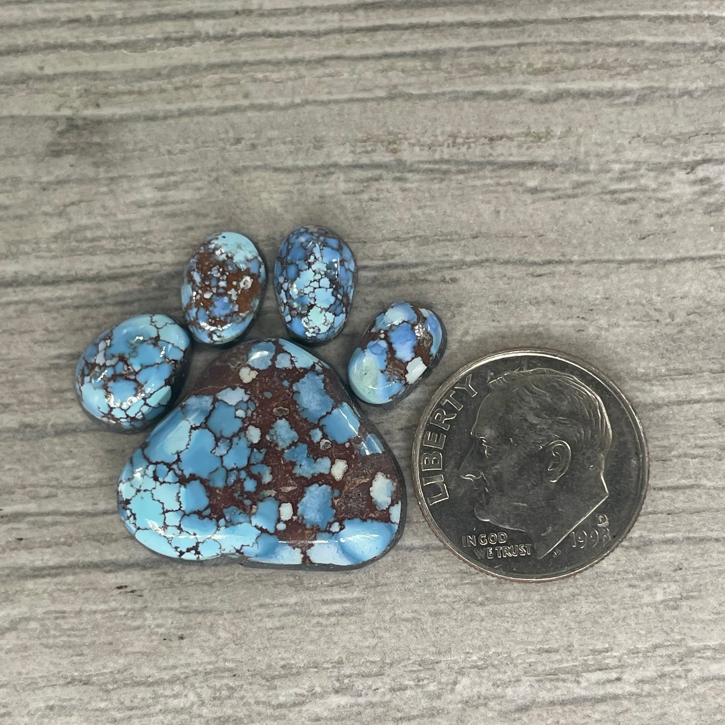 Golden Hill Paw