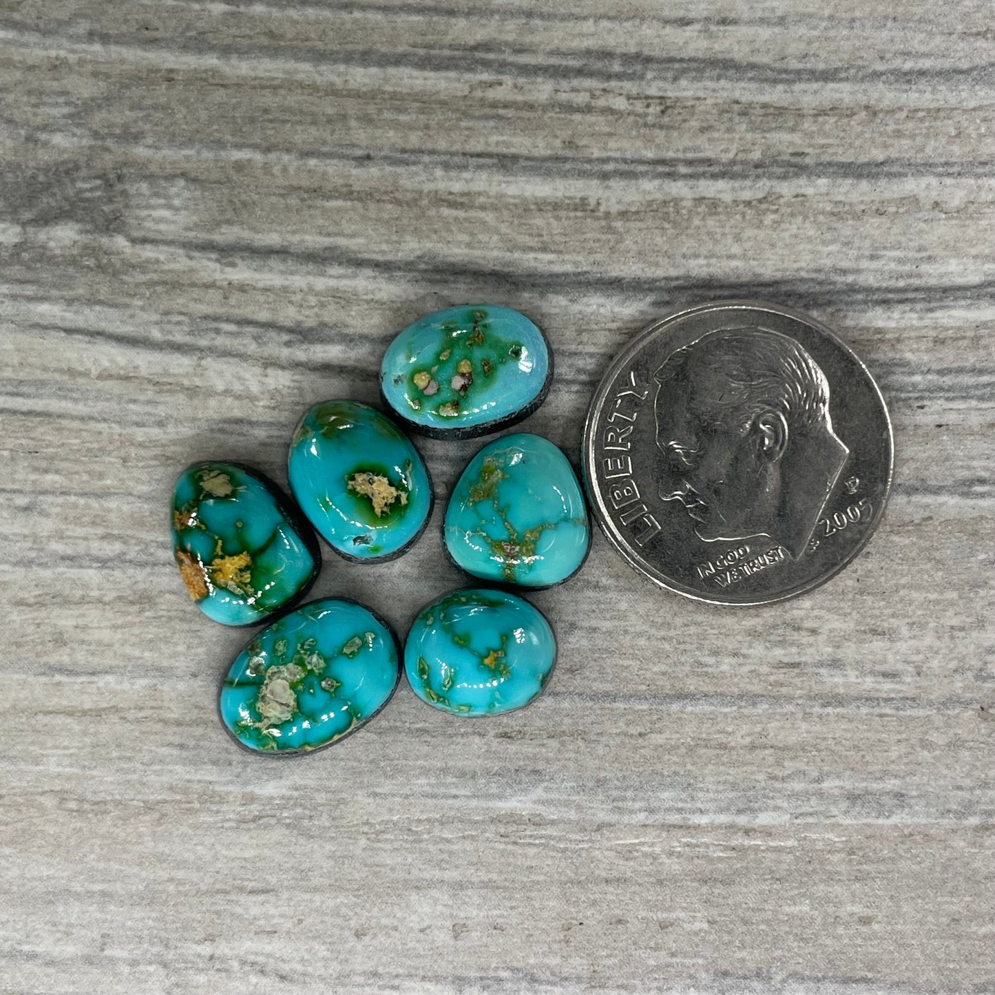 Sonoran Mountain Minis