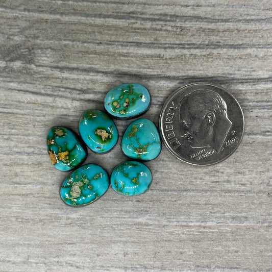 Sonoran Mountain Minis