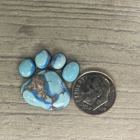 Golden Hill Paw