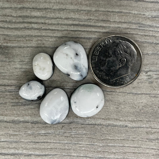 White Buffalo Minis