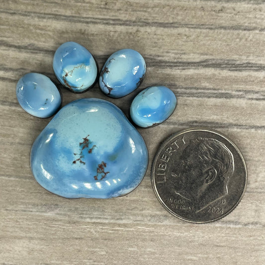 Golden Hill Paw