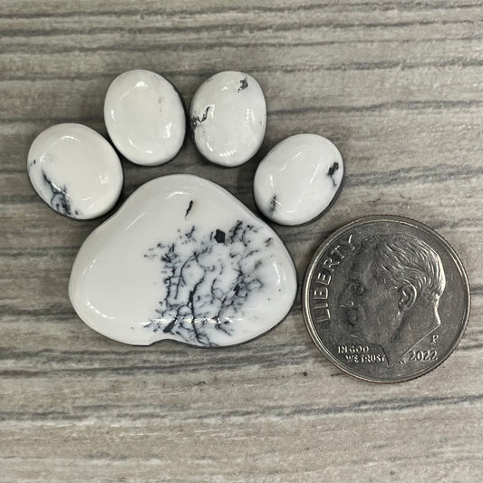 White Buffalo Paw
