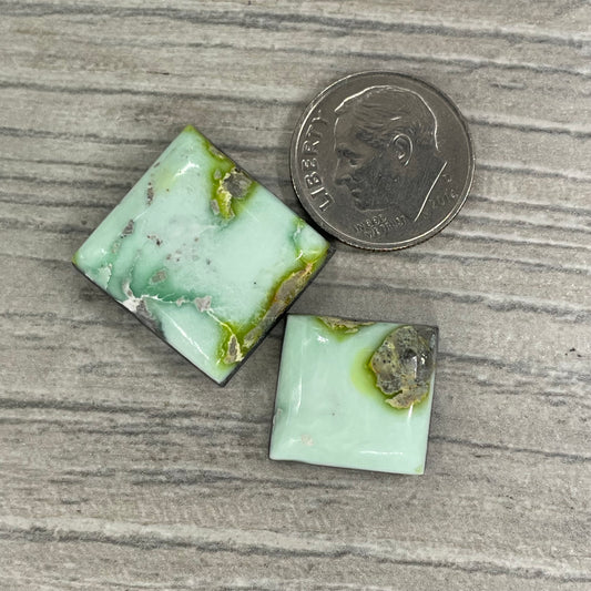 Palomino Squares