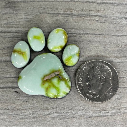 Palomino Paw Set