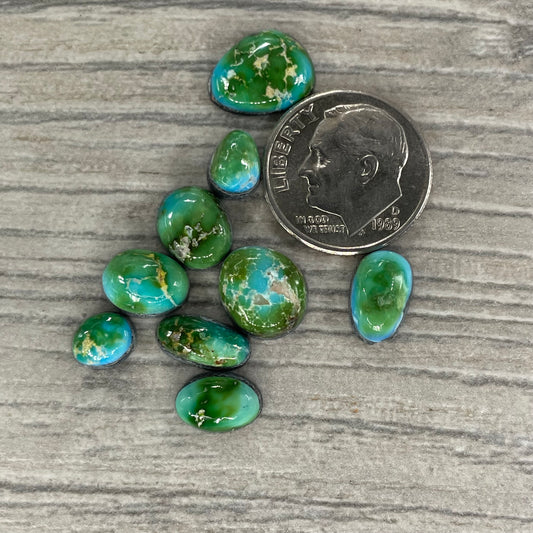 Sierra Bella Minis