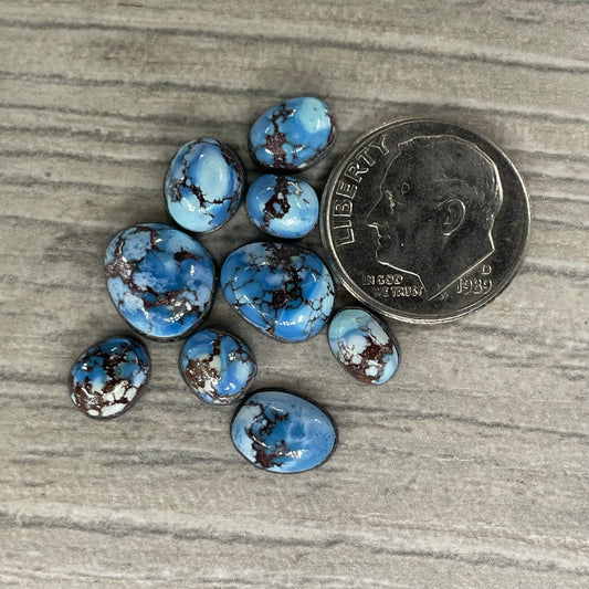 Golden Hill Minis