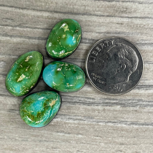 Sonoran Mountain Minis