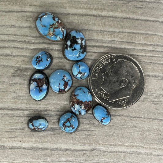 Golden Hill Minis