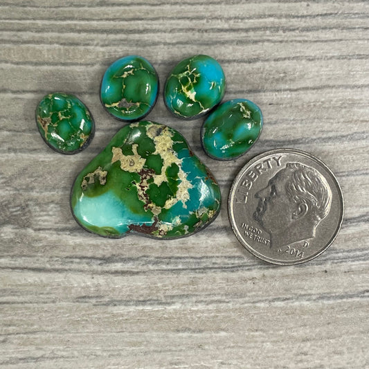 Sierra Bella Paw