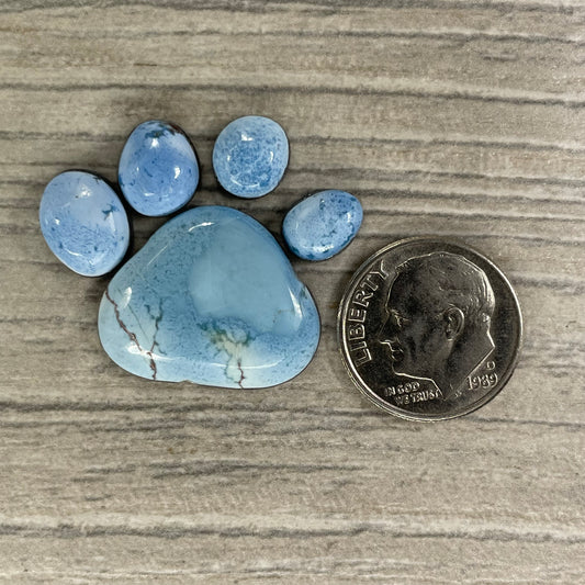 Golden Hill Paw