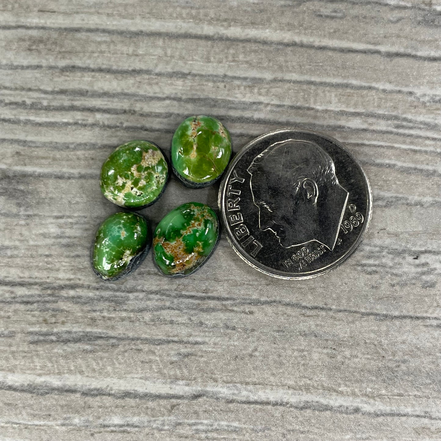 Sierra Bella Minis