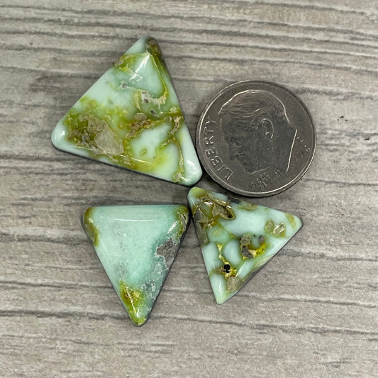 Palomino Triangles