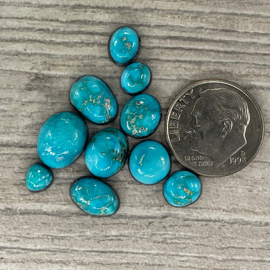 Verde Valley Minis