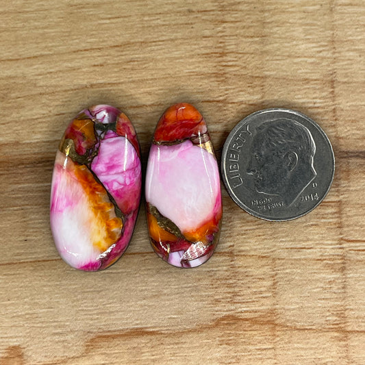 Starburst Spiny Oyster
