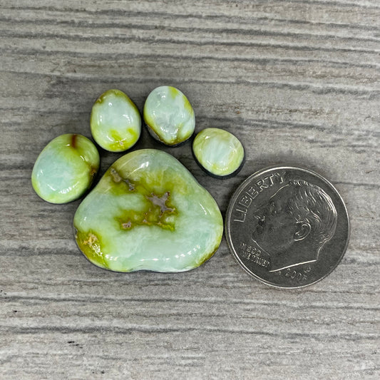 Palomino Paw Set
