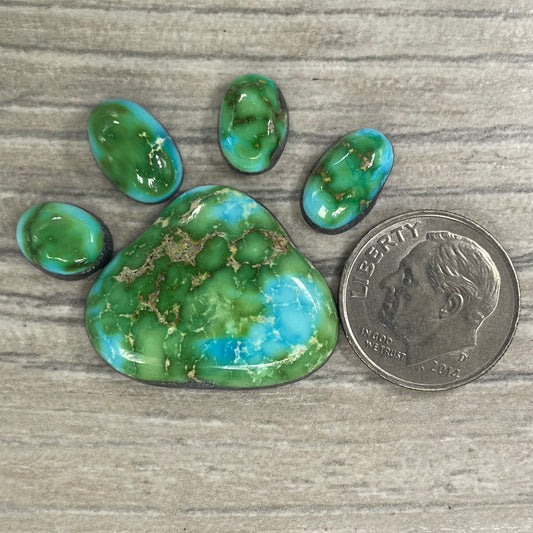 Sierra Bella Paw