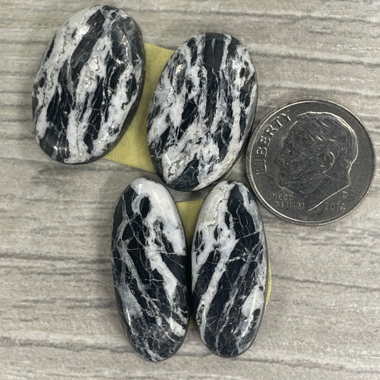 White Buffalo Earring Pairs
