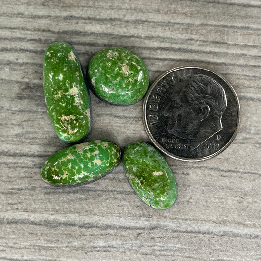 Sonoran