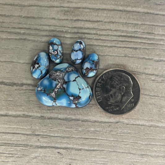 Golden Hill Paw