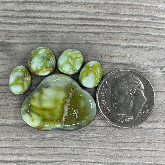 Palomino Paw Set
