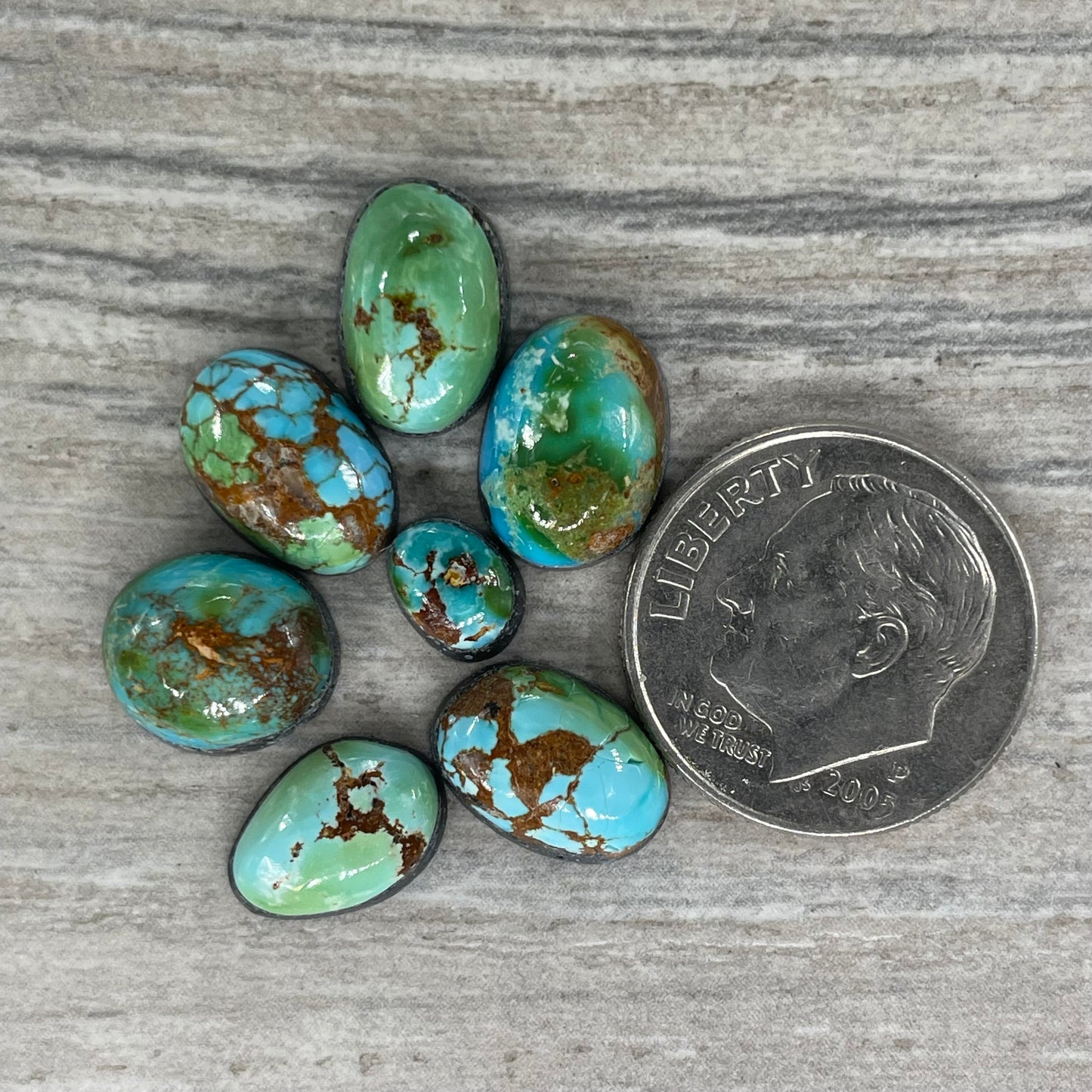 Sonoran Mountain Minis