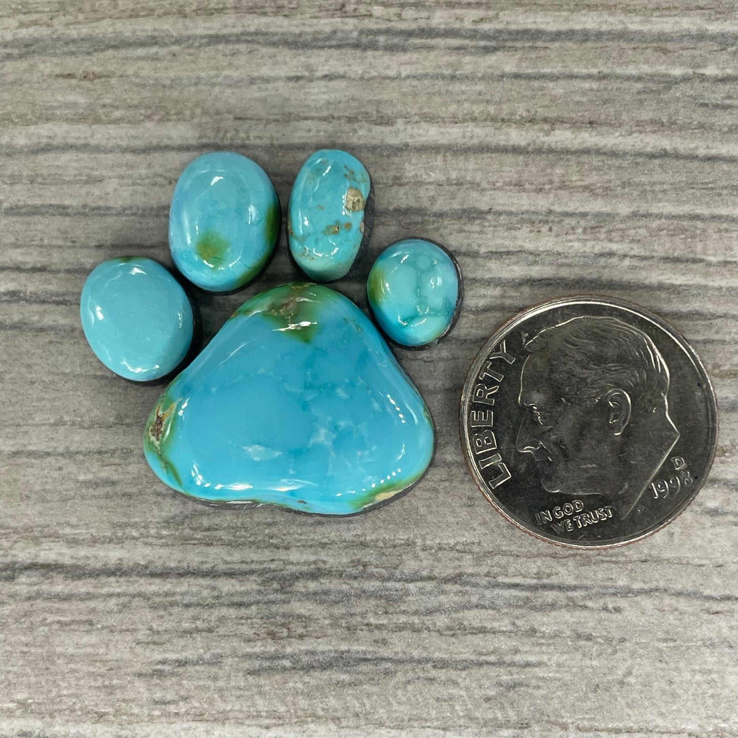 Sonoran Mountain Paw