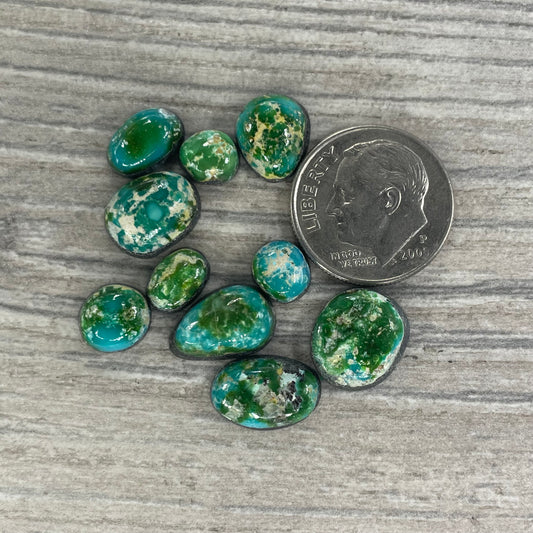 Sonoran Mountain Minis