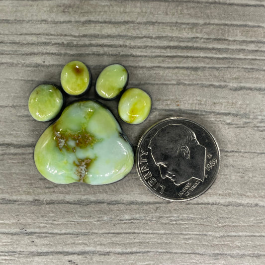 Palomino Paw